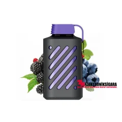 Vozol Gear 10000 Puff Bar %5 Nikotin Forest Berry Storm